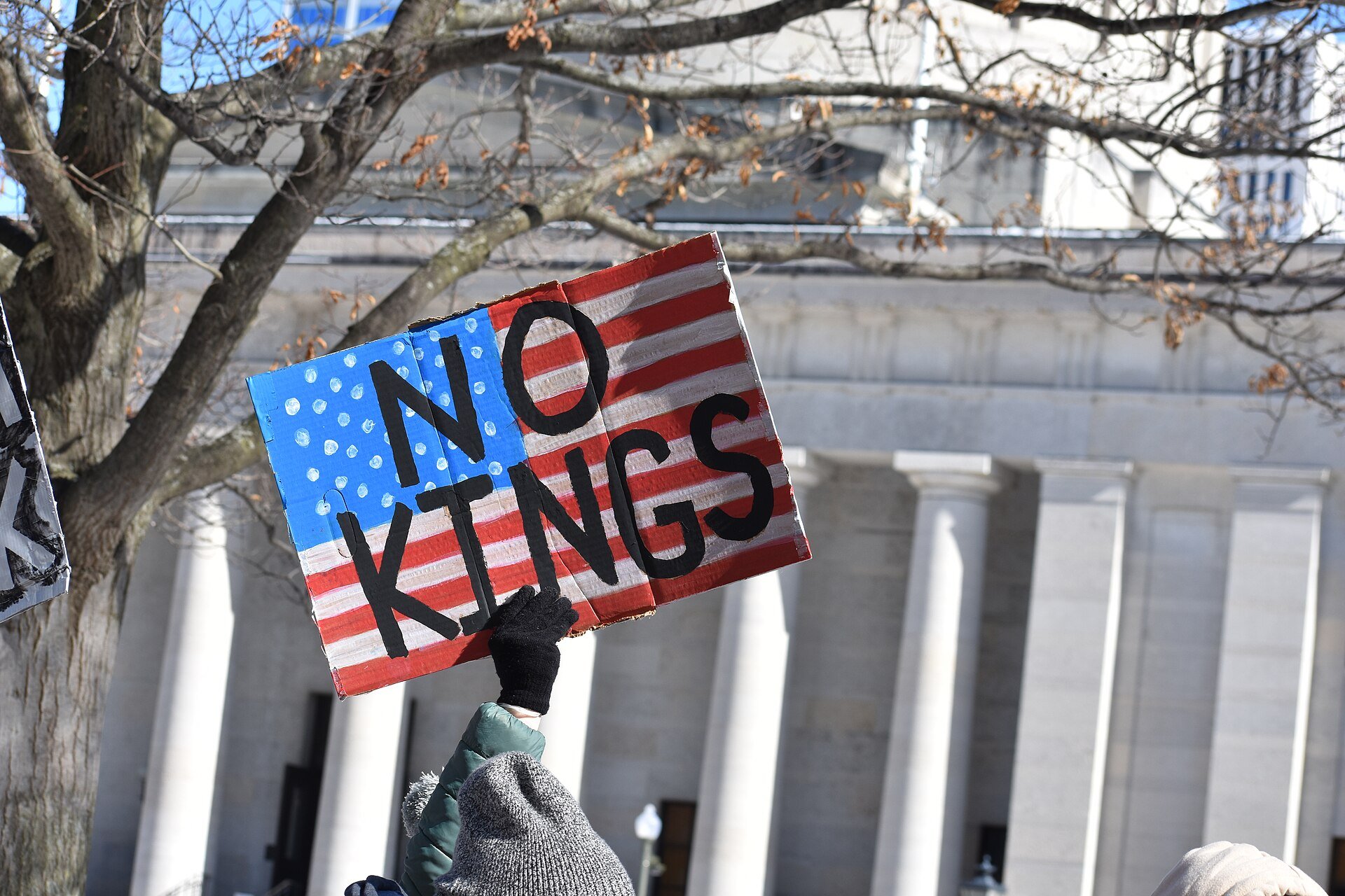 Sign at No Kings protest